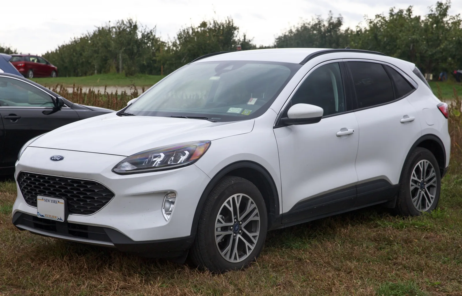 Ford Escape IV — фотография автомобиля