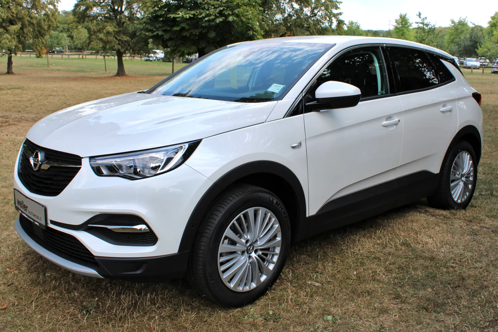Opel Grandland X первого поколения, вид спереди
